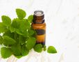 Peppermint hydrolate