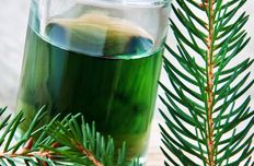 Spruce needle oil