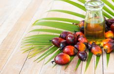 Palm oil / Palm fat