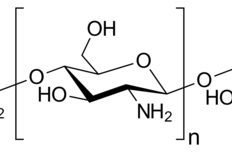Chitosan lactate