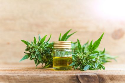 CBD oil