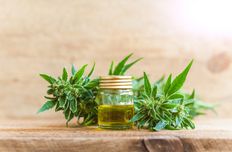 CBD oil