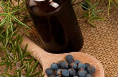 Juniper berry oil