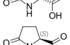 Pyroglutamic acid