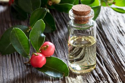 Wintergreen oil