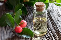 Wintergreen oil