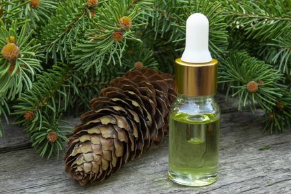 Fir needle oil