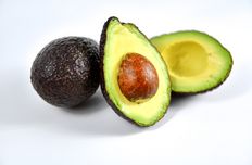 Avocado extract