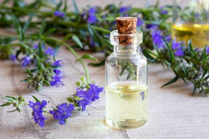 Hyssop oil