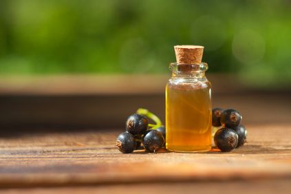 Currant seed oil