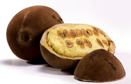 Cupuacubutter