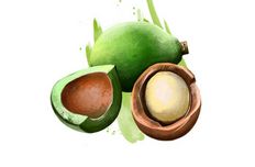 Kukuinut oil